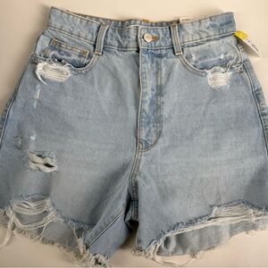 Zara Light Blue Ripped Jean Shorts